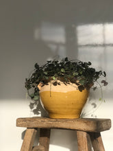 Load image into Gallery viewer, French Antique Confit Pot