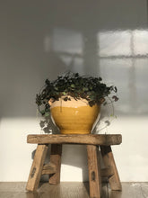 Load image into Gallery viewer, French Antique Confit Pot