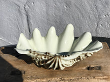 Load image into Gallery viewer, Clam Shell Dish