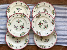Load image into Gallery viewer, Vintage French Dinner Plates
