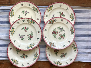 Vintage French Dinner Plates