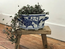 Load image into Gallery viewer, Jardiniere Ceramic Planter
