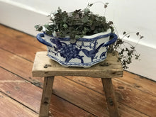 Load image into Gallery viewer, Jardiniere Ceramic Planter
