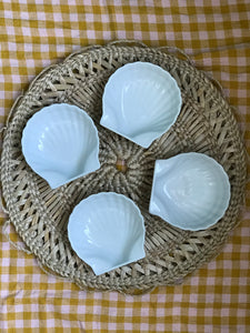 Shell Dishes