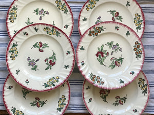 Vintage French Dinner Plates