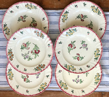 Load image into Gallery viewer, Vintage French Dinner Plates
