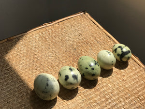 Green Speckled Eggs