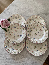 Load image into Gallery viewer, Berry Vintage Dinner Plates
