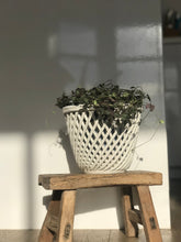 Load image into Gallery viewer, Vintage Italian Woven Basket
