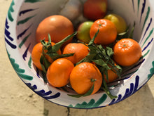 Load image into Gallery viewer, Mediterranean Fruit Bowl
