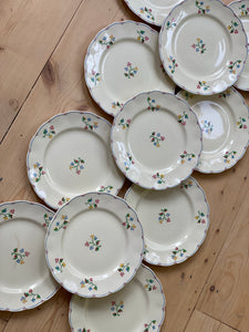 Petal Plates