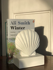 Seashell bookends