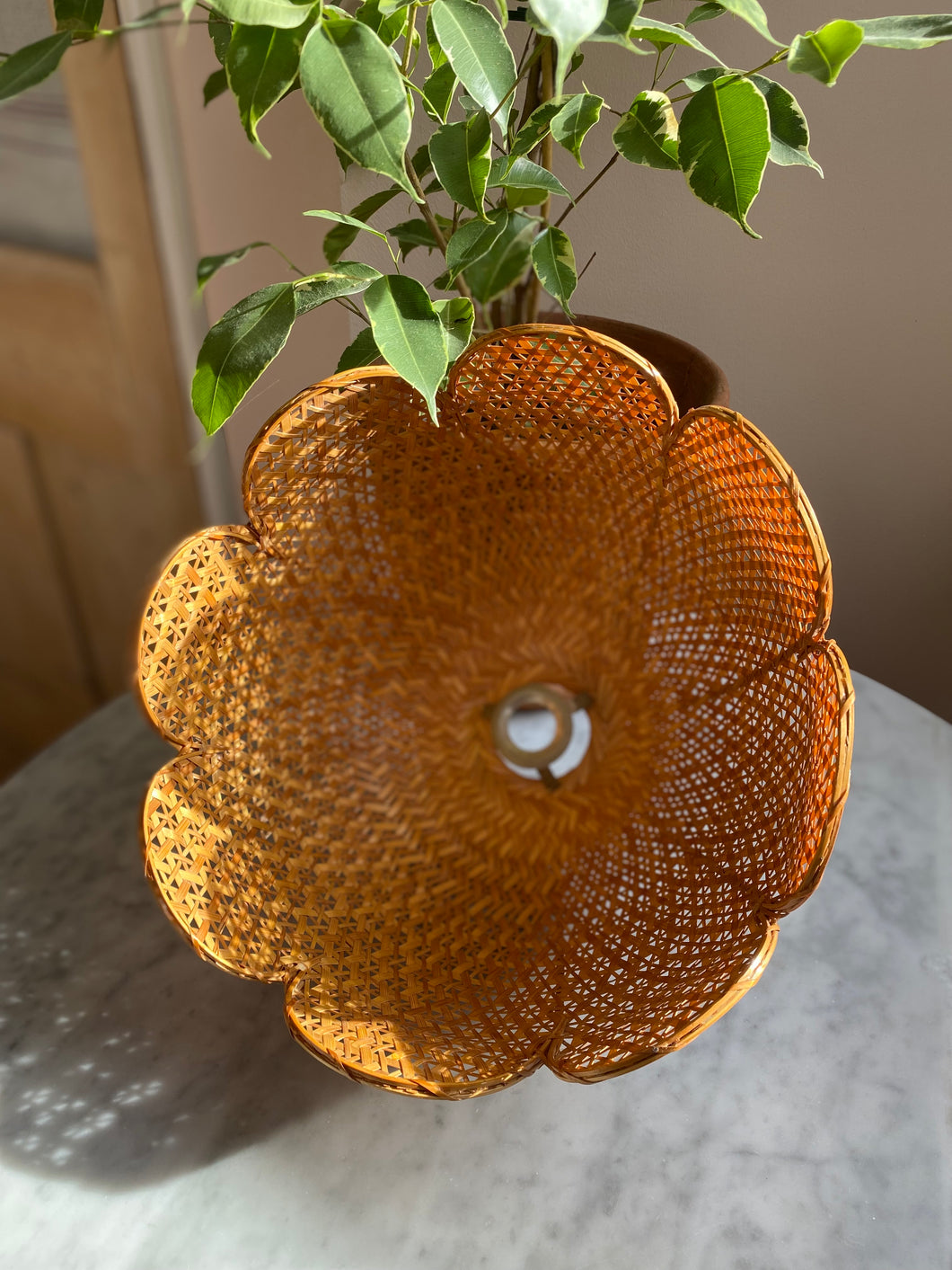 Rattan Scallop Shade