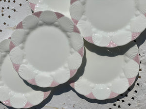 Scalloped Plate Set