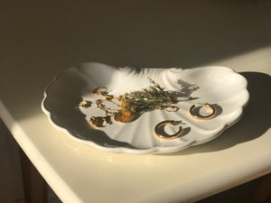 Shell Dish