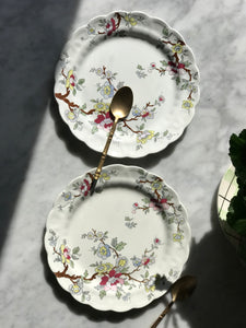 Petal Plates