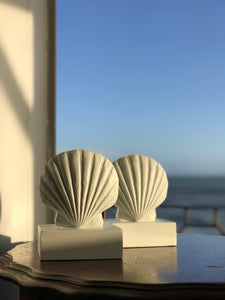 Seashell bookends