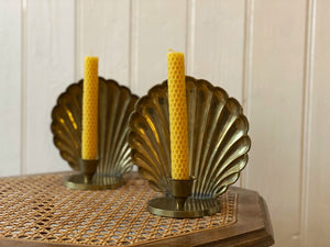 Brass Clam Shell Candleholders