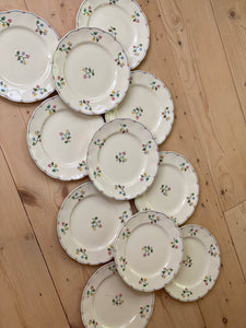 Petal Plates